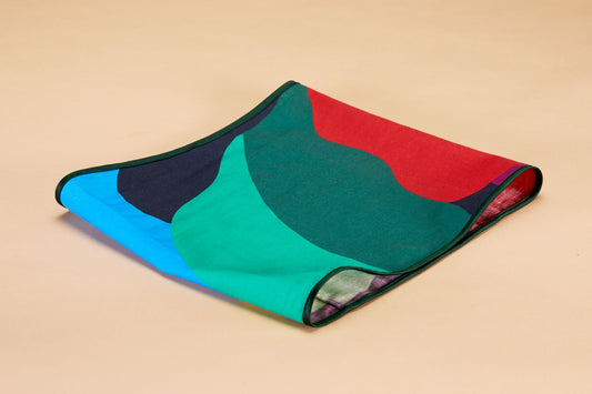 Pillow Sleeve: Colorwave No. 2